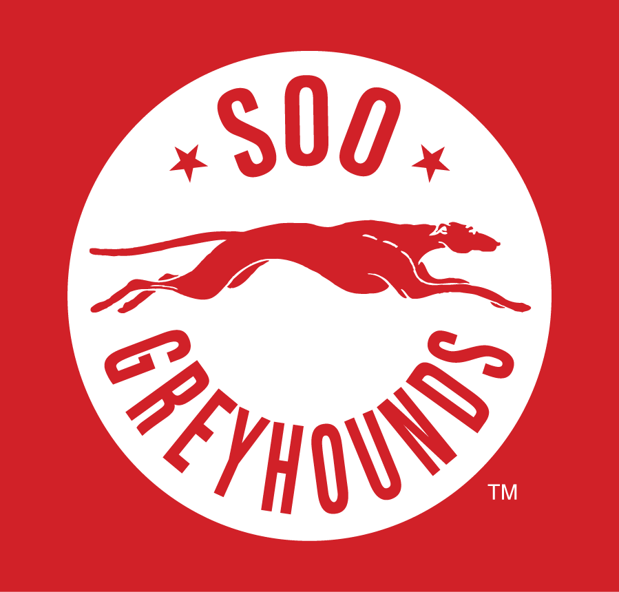 Sault Ste. Marie Greyhounds 2013-Pres Alternate Logo iron on transfers for clothing